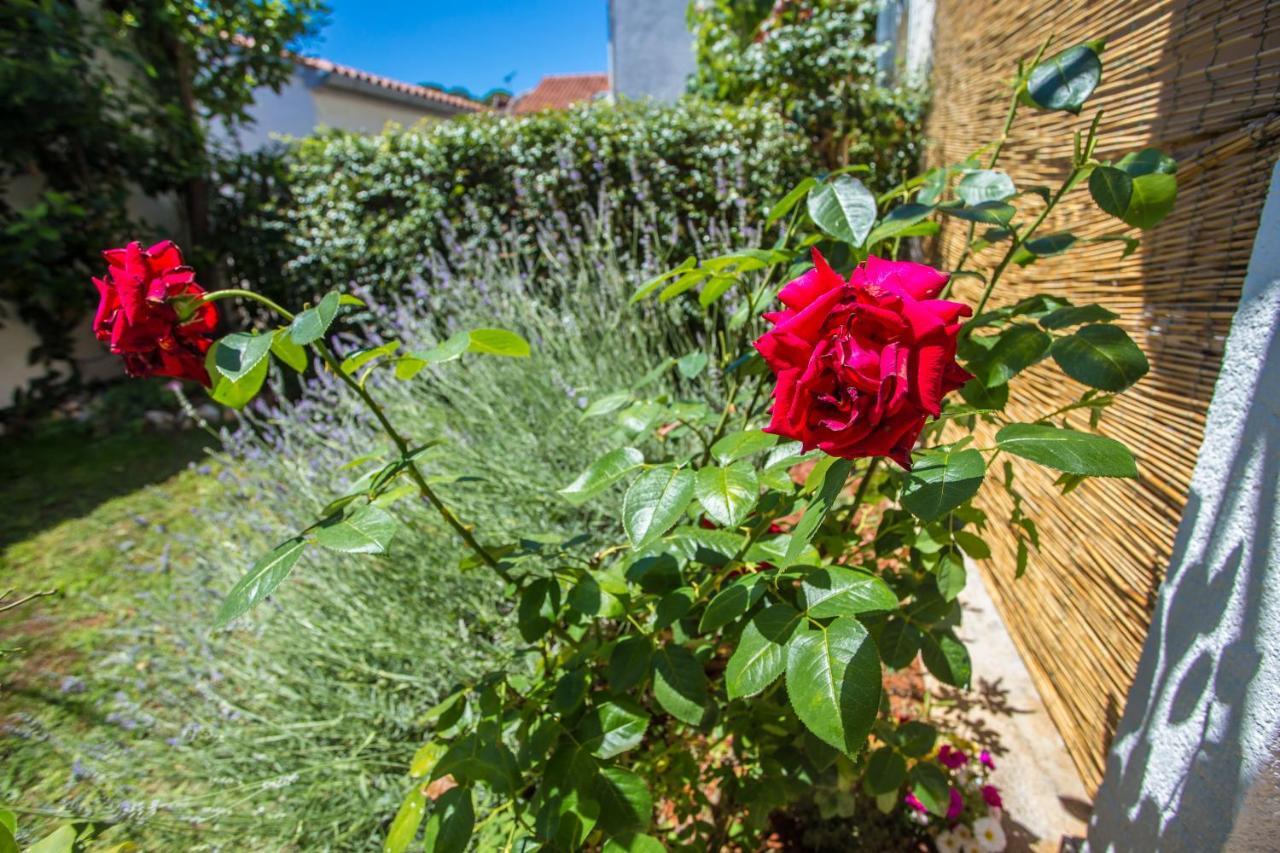 Apartment Rosse Пореч Екстер'єр фото